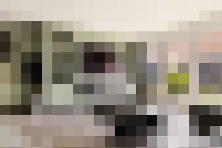 Harpoenier 74 Landsmeer thumbnail 11