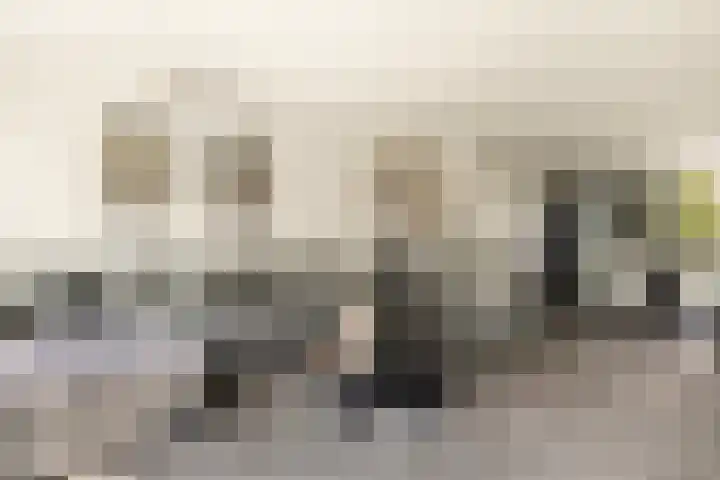 Harpoenier 74 Landsmeer thumbnail 12