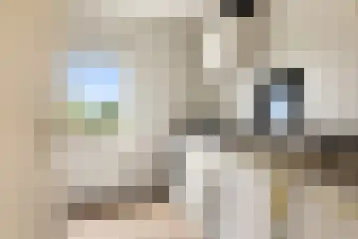 Harpoenier 74 Landsmeer thumbnail 15