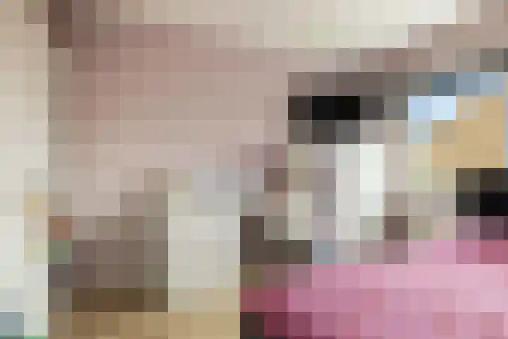 Harpoenier 74 Landsmeer thumbnail 17