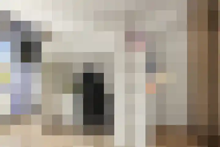 Harpoenier 74 Landsmeer thumbnail 20