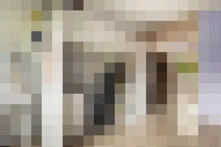 Harpoenier 74 Landsmeer thumbnail 22