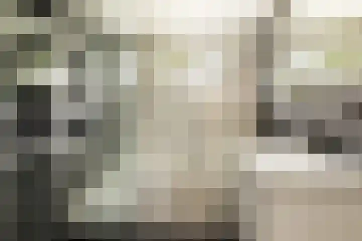 Harpoenier 74 Landsmeer thumbnail 23
