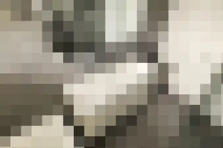Harpoenier 74 Landsmeer thumbnail 27