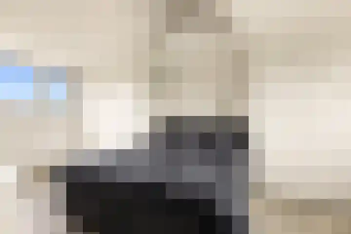 Harpoenier 74 Landsmeer thumbnail 29