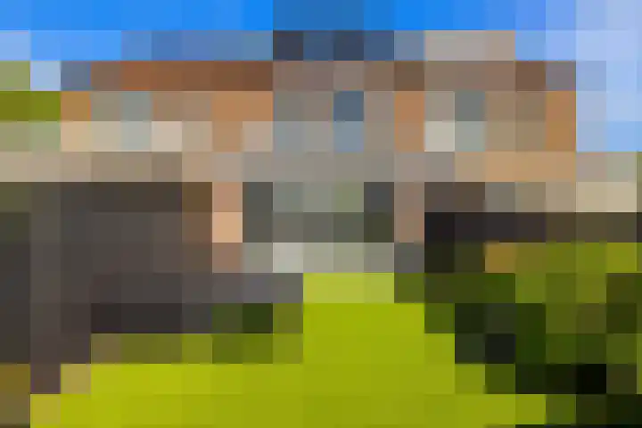Harpoenier 74 Landsmeer thumbnail 33