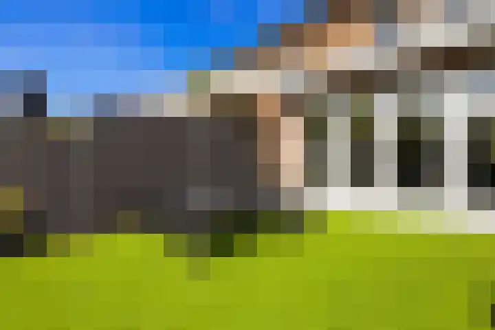 Harpoenier 74 Landsmeer thumbnail 34