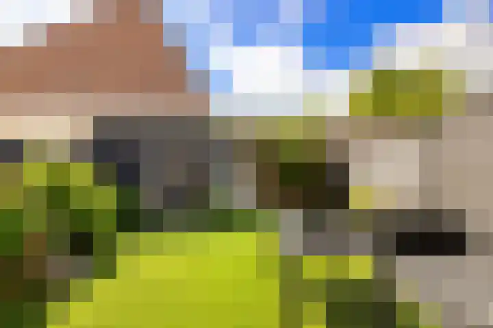 Harpoenier 74 Landsmeer thumbnail 35