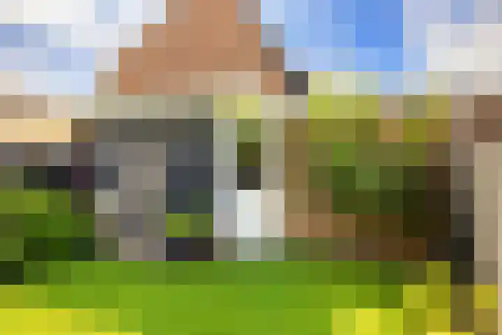 Harpoenier 74 Landsmeer thumbnail 37