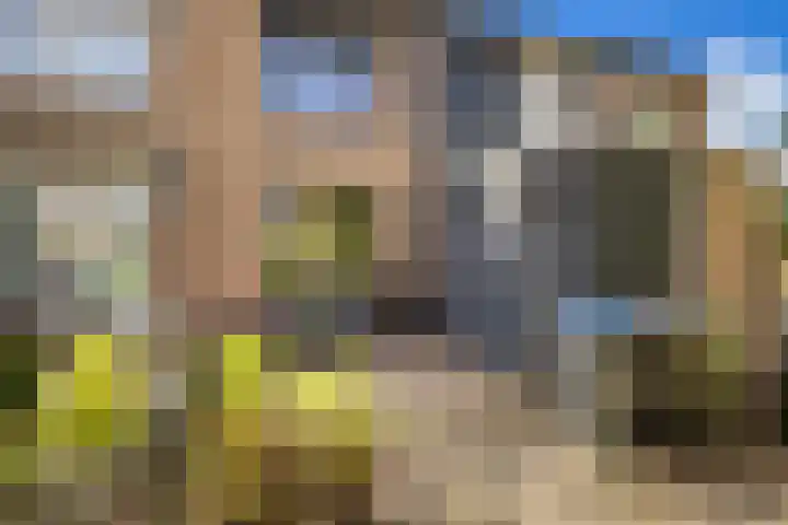 Harpoenier 74 Landsmeer thumbnail 38