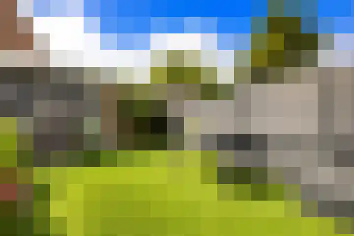 Harpoenier 74 Landsmeer thumbnail 39