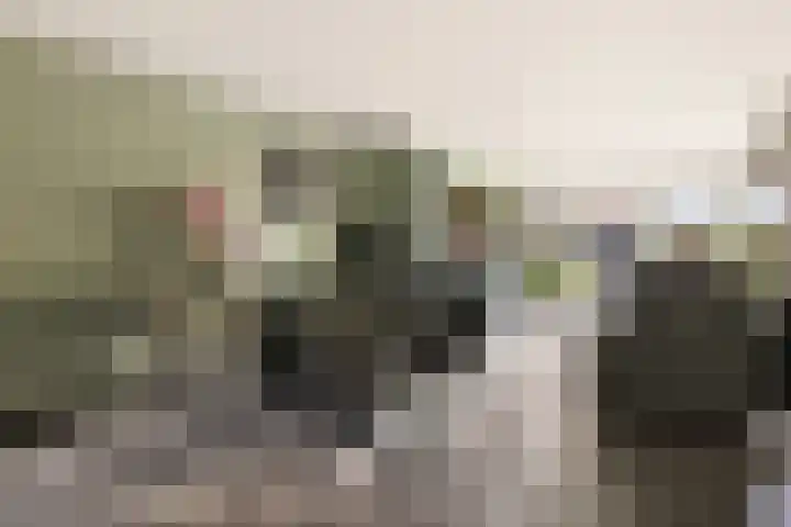 Harpoenier 74 Landsmeer thumbnail 4