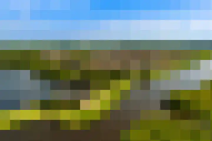 Harpoenier 74 Landsmeer thumbnail 41