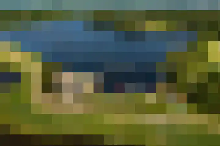 Harpoenier 74 Landsmeer thumbnail 41