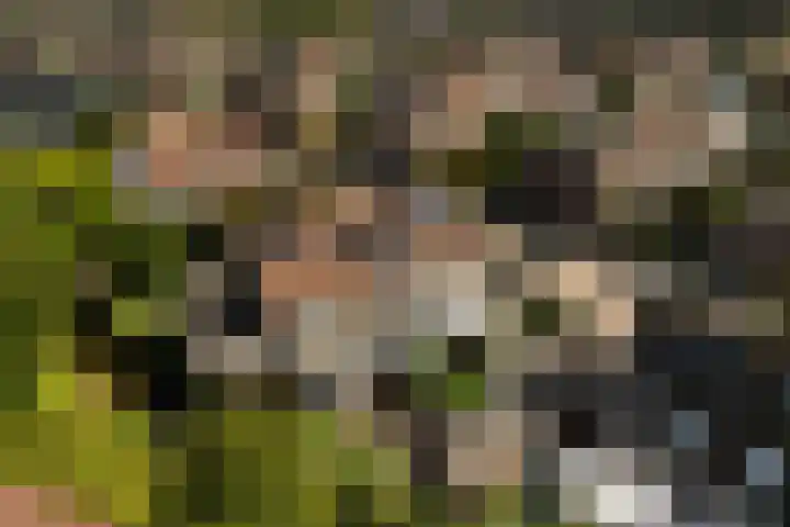 Harpoenier 74 Landsmeer thumbnail 43