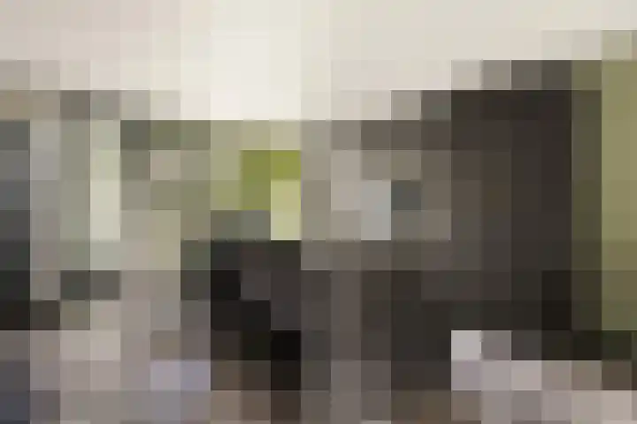 Harpoenier 74 Landsmeer thumbnail 5