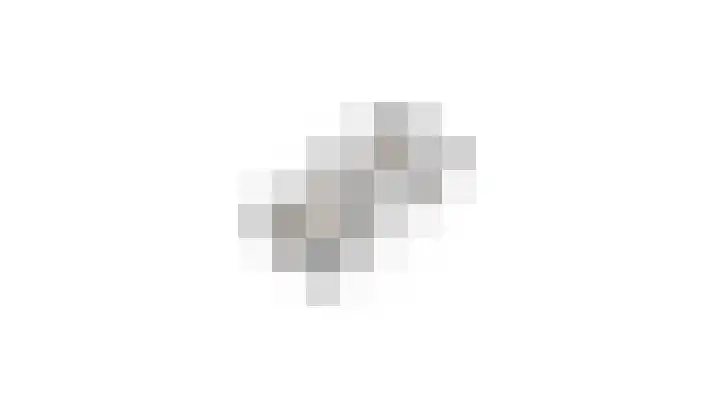 Harpoenier 74 Landsmeer thumbnail 49
