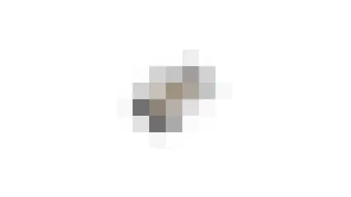 Harpoenier 74 Landsmeer thumbnail 50