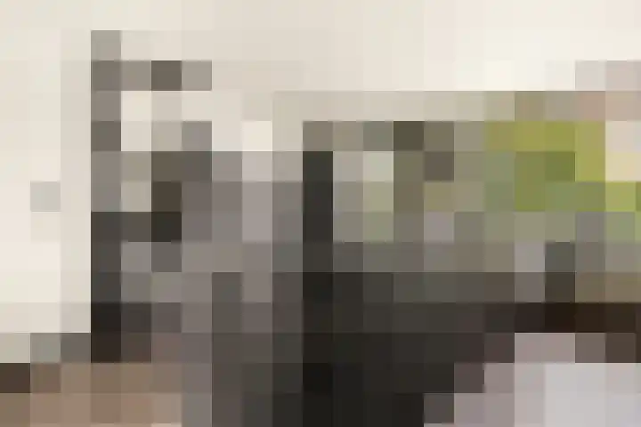 Harpoenier 74 Landsmeer thumbnail 8