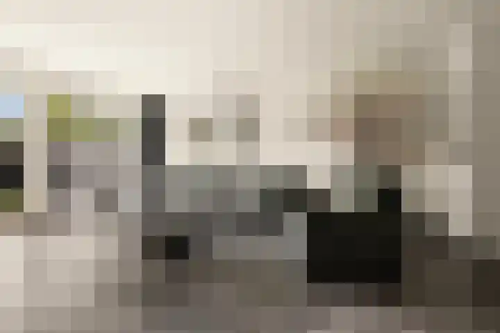 Harpoenier 74 Landsmeer thumbnail 9