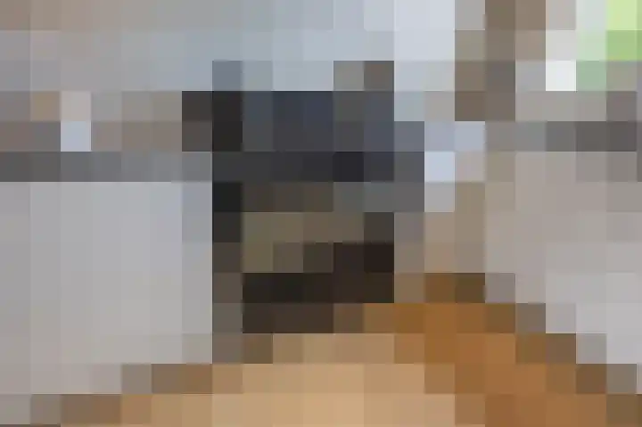 Harpraam 1 Krommenie thumbnail 13