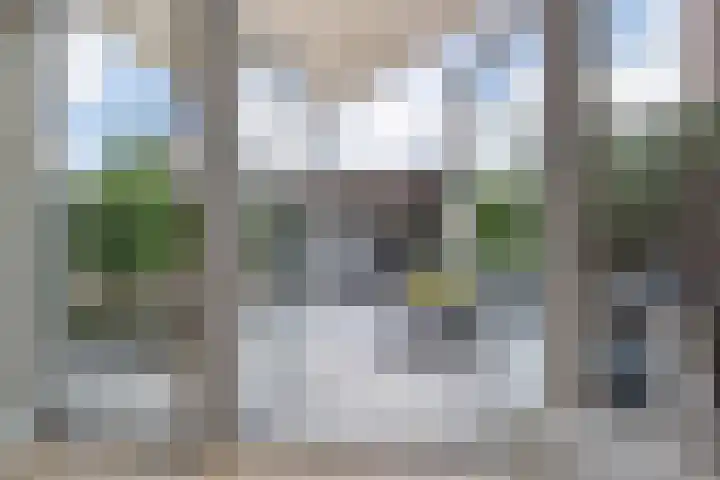 Harpraam 1 Krommenie thumbnail 15