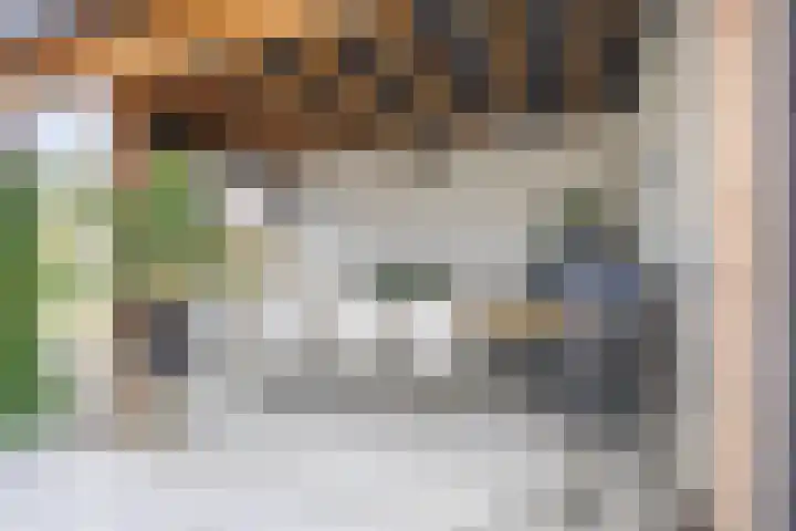 Harpraam 1 Krommenie thumbnail 17