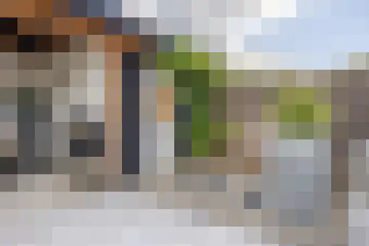 Harpraam 1 Krommenie thumbnail 22