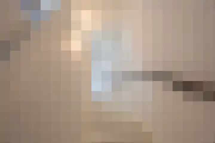 Harpraam 1 Krommenie thumbnail 30