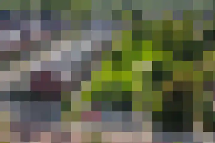 Harpraam 1 Krommenie thumbnail 4