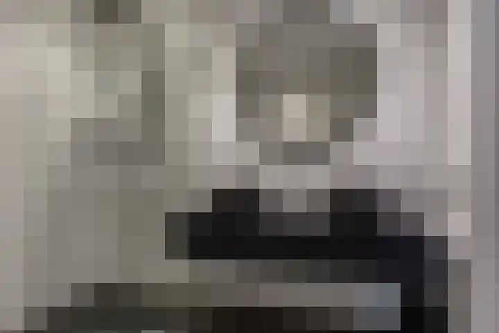 Harpraam 1 Krommenie thumbnail 41
