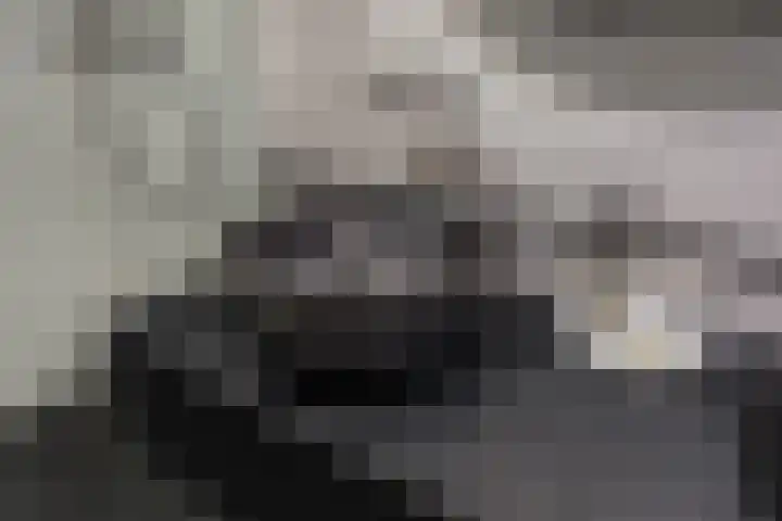 Harpraam 1 Krommenie thumbnail 42