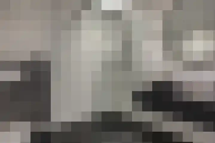 Harpraam 1 Krommenie thumbnail 43