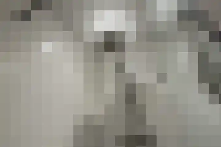 Harpraam 1 Krommenie thumbnail 44