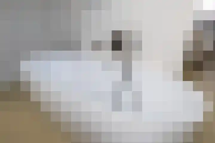 Harpraam 1 Krommenie thumbnail 51