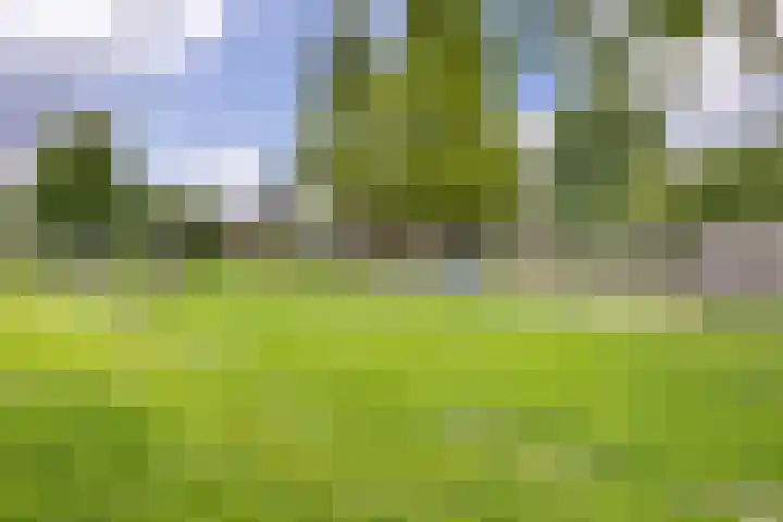 Harpraam 1 Krommenie thumbnail 59