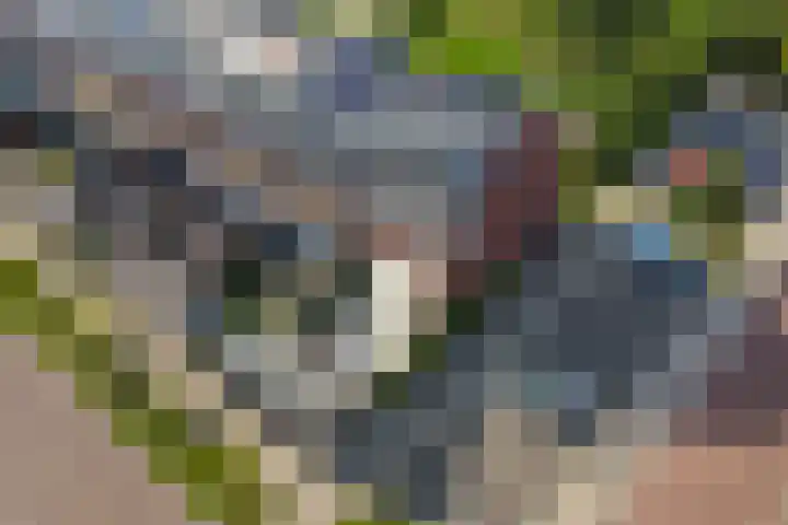 Harpraam 1 Krommenie thumbnail 60