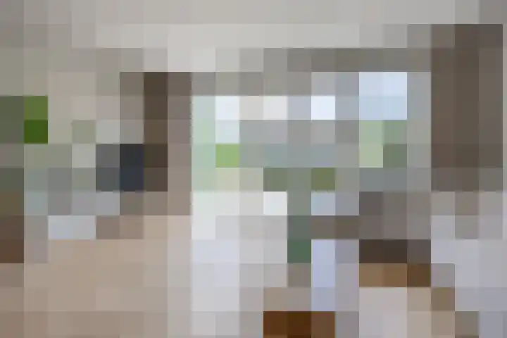 Harpraam 1 Krommenie thumbnail 9