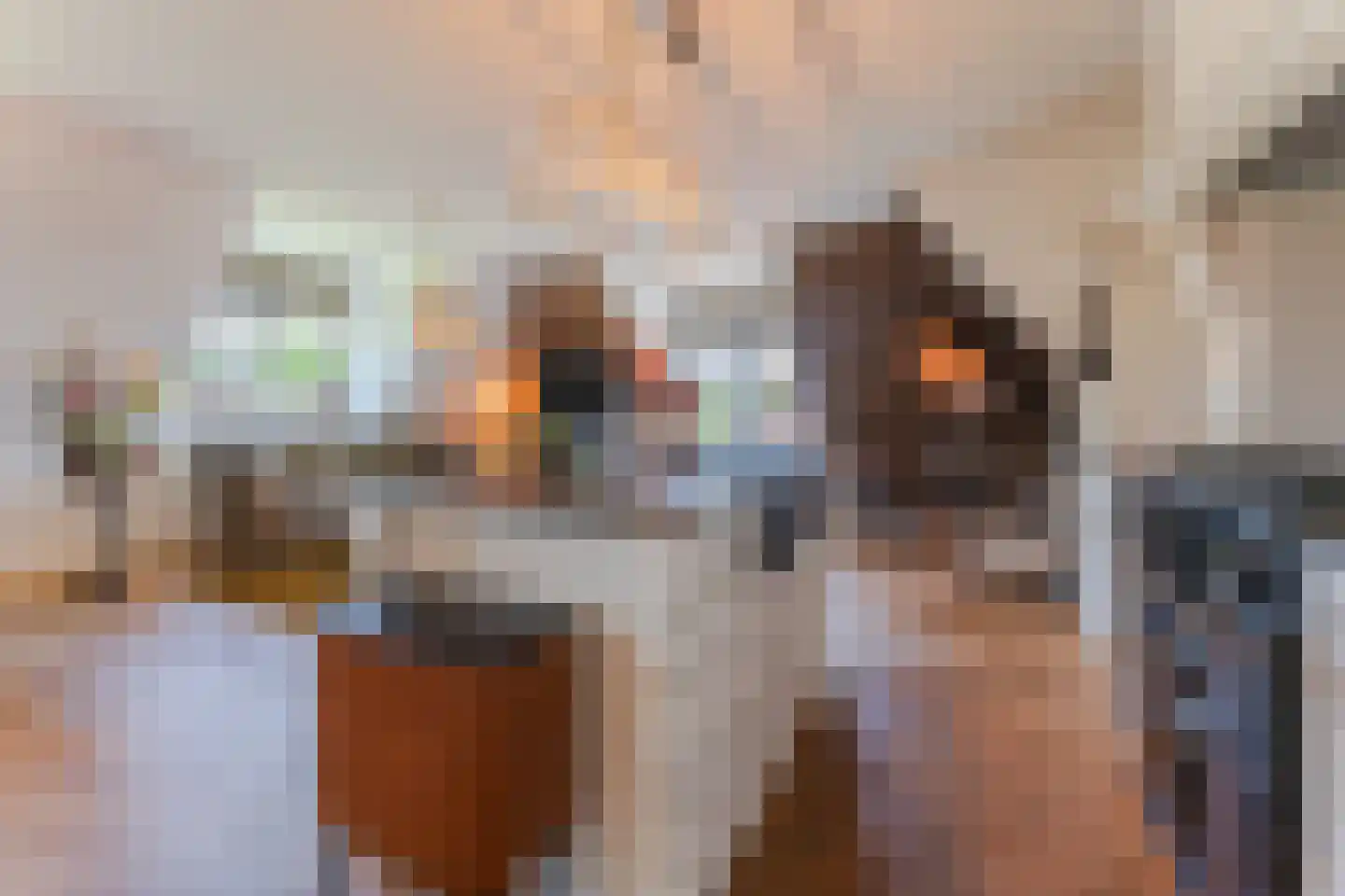 Harpraam 45 Krommenie thumbnail 15