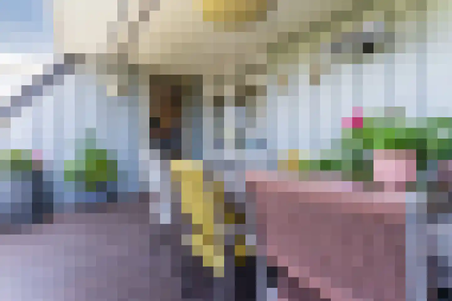 Harpraam 45 Krommenie thumbnail 30