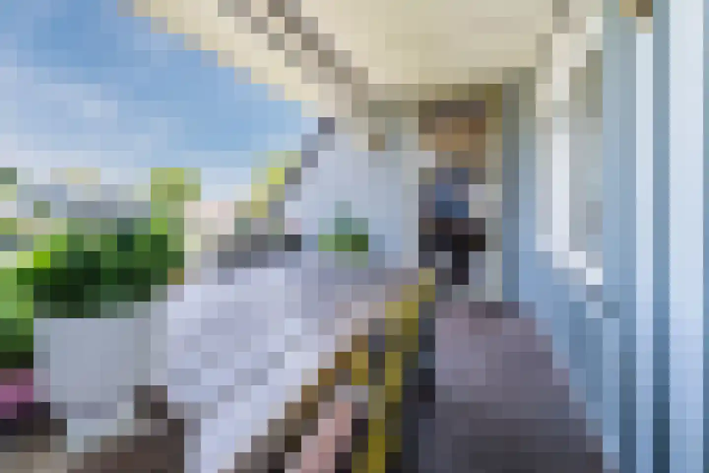 Harpraam 45 Krommenie thumbnail 4