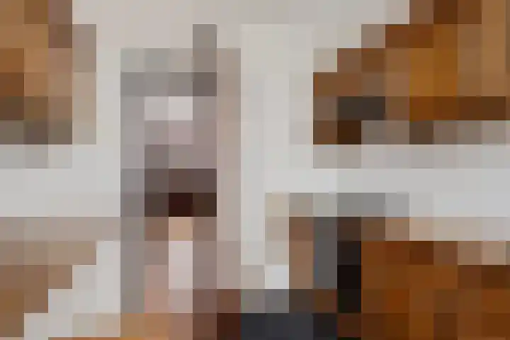 Harpstraat 10 Arkel thumbnail 10