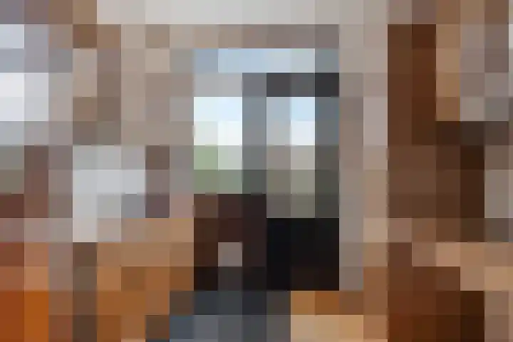 Harpstraat 10 Arkel thumbnail 11