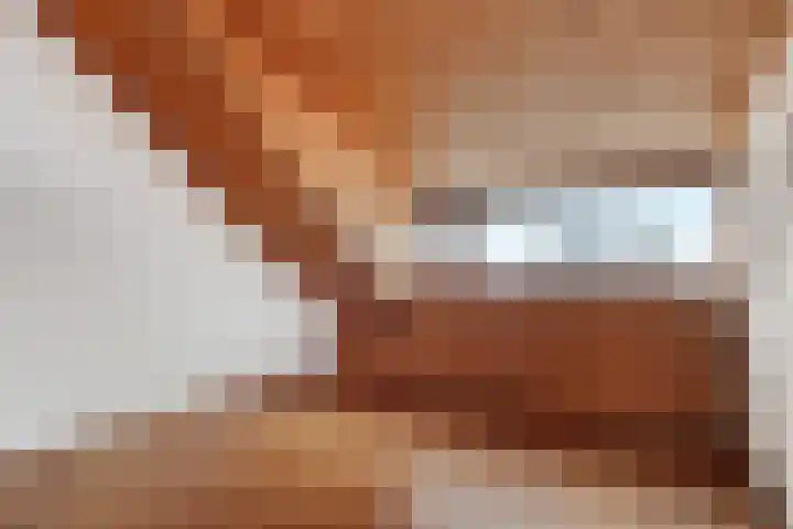 Harpstraat 10 Arkel thumbnail 24