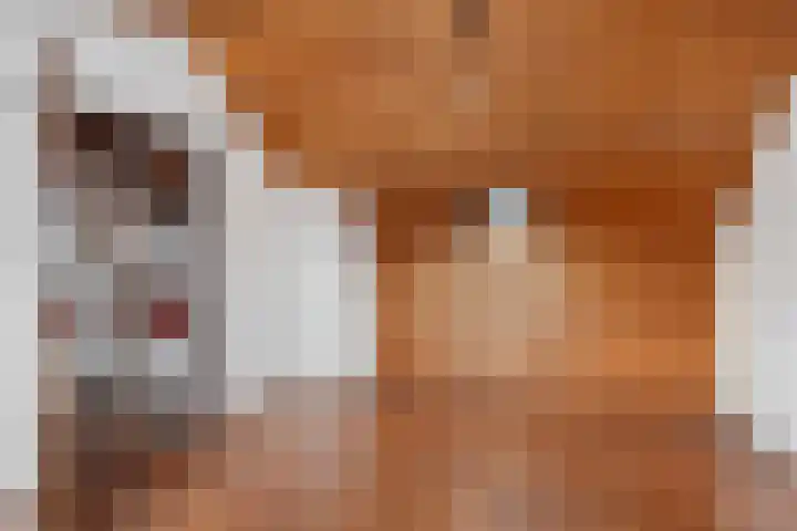 Harpstraat 10 Arkel thumbnail 25