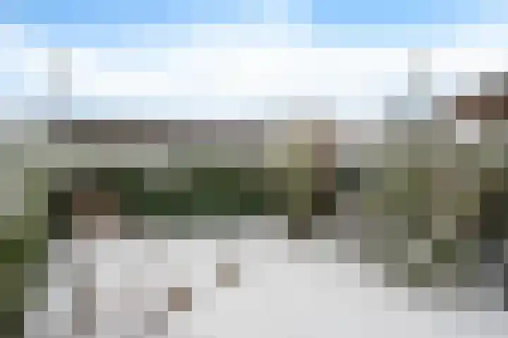 Harpstraat 10 Arkel thumbnail 26