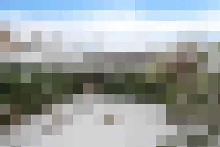 Harpstraat 10 Arkel thumbnail 27
