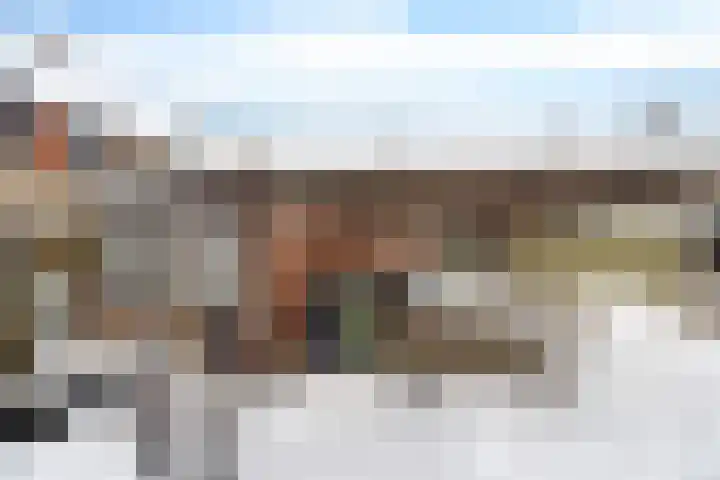 Harpstraat 10 Arkel thumbnail 29