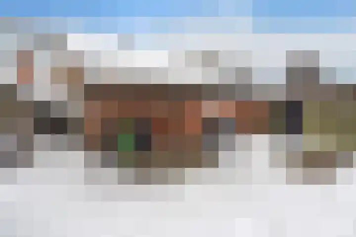 Harpstraat 10 Arkel thumbnail 30