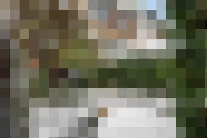 Harpstraat 10 Arkel thumbnail 31